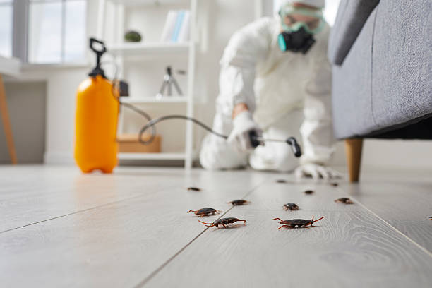 Commercial Kitchen Cockroach Control in Sugarland Run